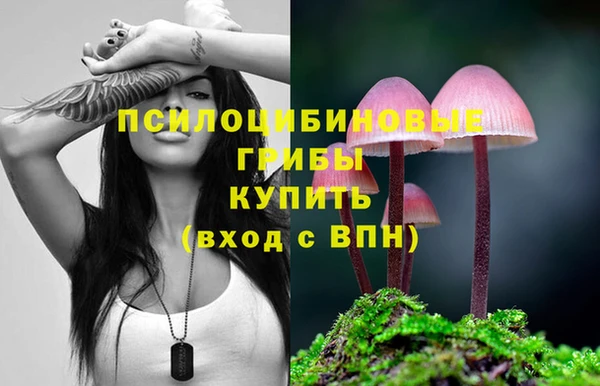 кокаин перу Белокуриха